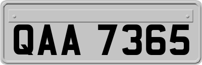 QAA7365