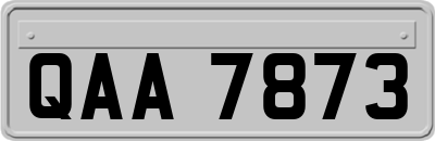 QAA7873