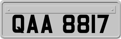 QAA8817