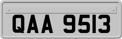 QAA9513