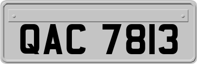 QAC7813