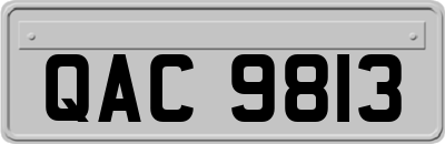 QAC9813