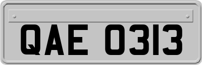 QAE0313