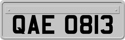 QAE0813