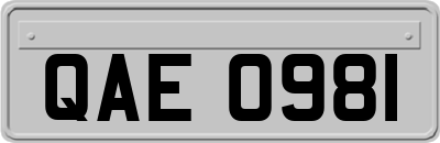 QAE0981