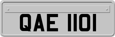 QAE1101