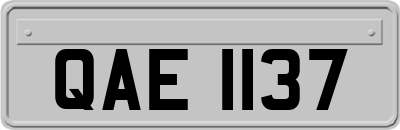 QAE1137