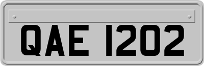 QAE1202