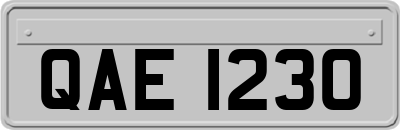 QAE1230