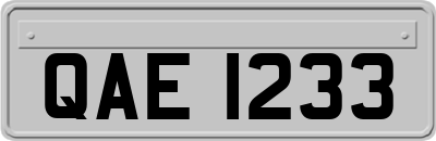 QAE1233