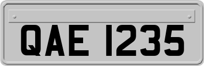 QAE1235