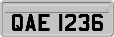 QAE1236