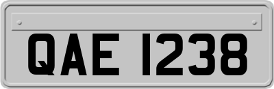 QAE1238