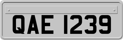 QAE1239
