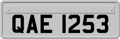 QAE1253