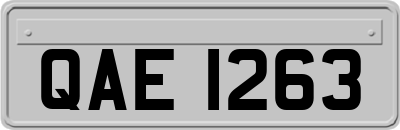 QAE1263