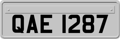 QAE1287