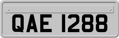 QAE1288
