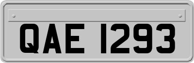 QAE1293
