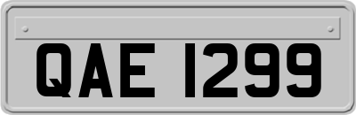 QAE1299