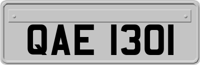 QAE1301