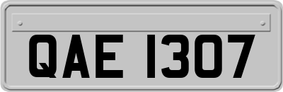 QAE1307