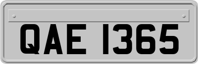 QAE1365