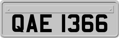 QAE1366