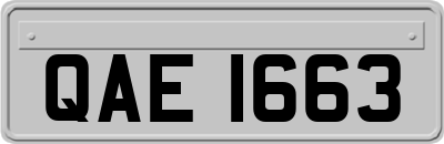 QAE1663