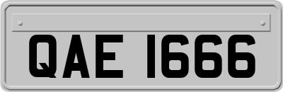 QAE1666