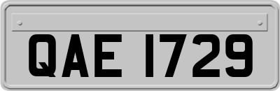 QAE1729