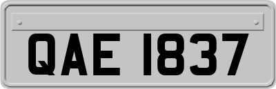 QAE1837