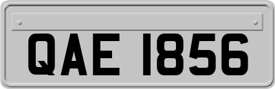QAE1856