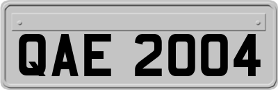 QAE2004