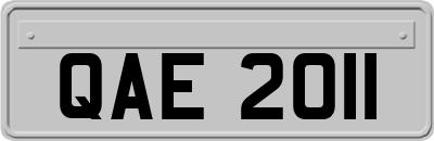 QAE2011