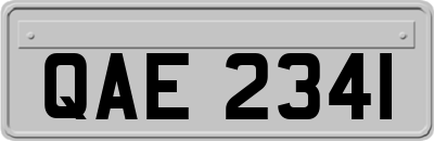 QAE2341