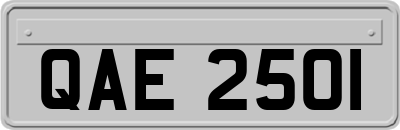 QAE2501