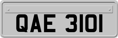 QAE3101