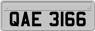 QAE3166