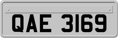 QAE3169