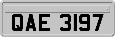 QAE3197