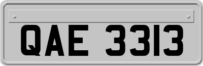 QAE3313