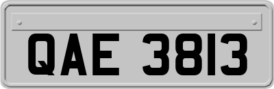 QAE3813