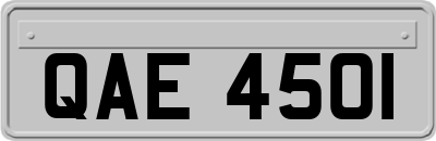 QAE4501