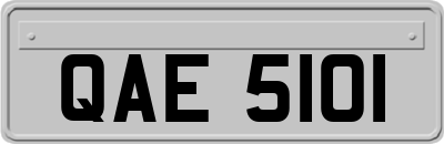 QAE5101
