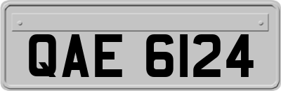 QAE6124