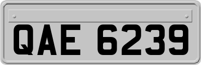 QAE6239