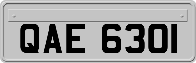 QAE6301