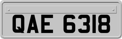 QAE6318