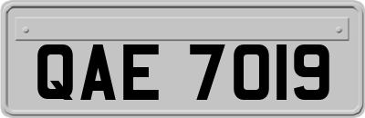 QAE7019